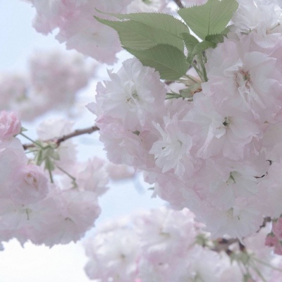 东兴福瑞交流群